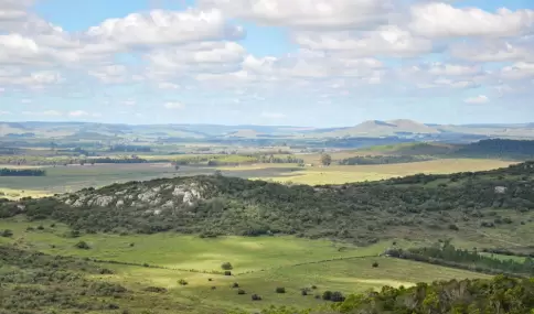 Viajes cortos y paisajes tranquilos para descansar.