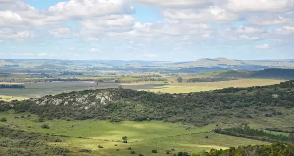 Viajes cortos y paisajes tranquilos para descansar.