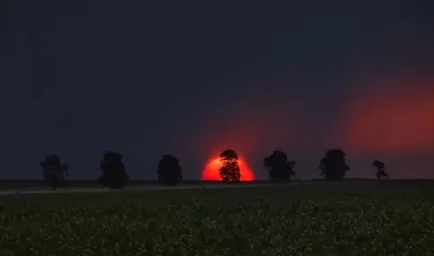 En los campos uruguayos hay tradici�n rural, producci�n, caminos y espacio para el descanso.