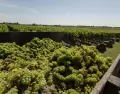 Muchas experiencias de bodega se disfrutan mejor con clima fresco.