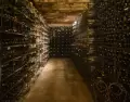 En Canelones o Maldonado, una bodega puede convertirse en mucho m�s que una salida gastron�mica.