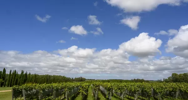En invierno, cuando muchos destinos parecen apagarse, las bodegas pueden hacer lo contrario.