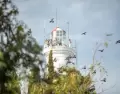 El Faro de Colonia y los alrededores del r�o son parte clave de la escapada.