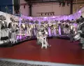 Museos, teatros y centros culturales ofrecen una amplia variedad de actividades para el invierno.