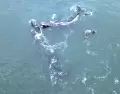 Las ballenas cambian la manera de vivir la costa uruguaya en invierno.