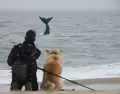 Un lugar donde la naturaleza todav�a puede sorprender.